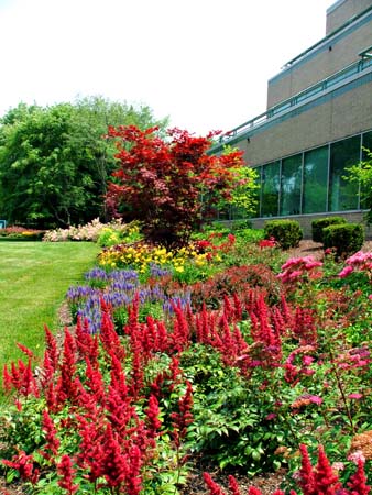 Corporate Campuses 03