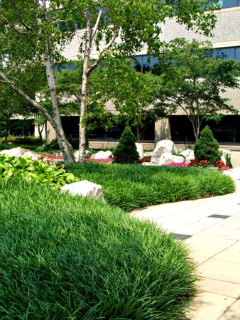 Corporate Campuses 07