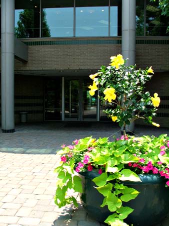Flower Program 19